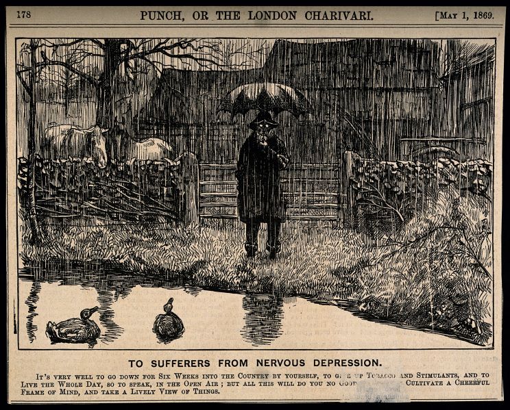 文件:A depressive man standing by a country pond in the pouring r Wellcome V0011388.jpg